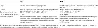 Hepatic Macrophages in Liver Injury